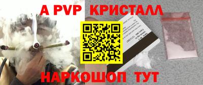 ALPHA PVP Гатчина