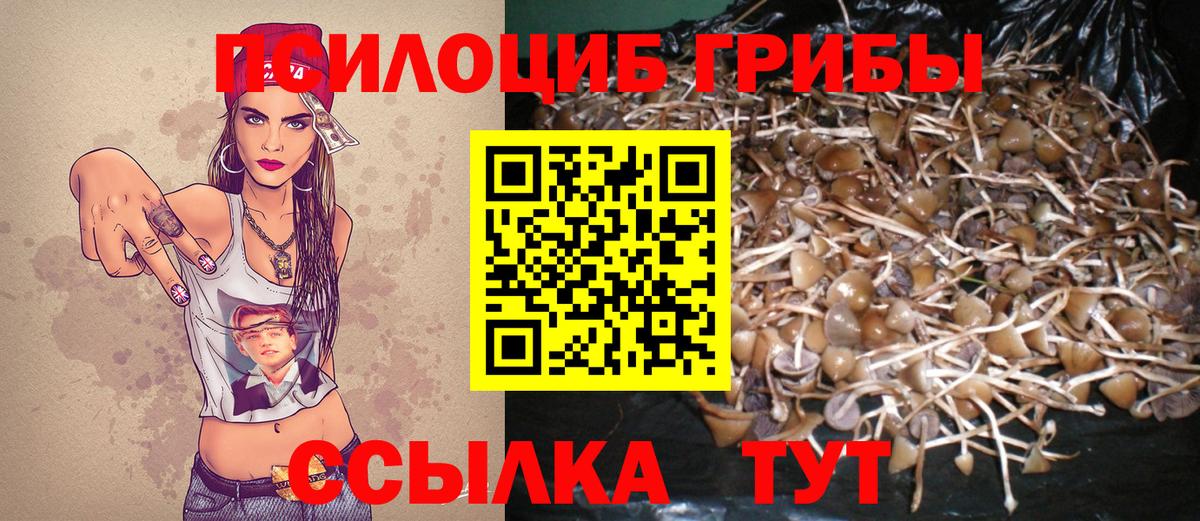 Псилоцибиновые грибы ЛСД  Вход с VPN  Галлюциногенные грибы прущие грибы  Мыски 