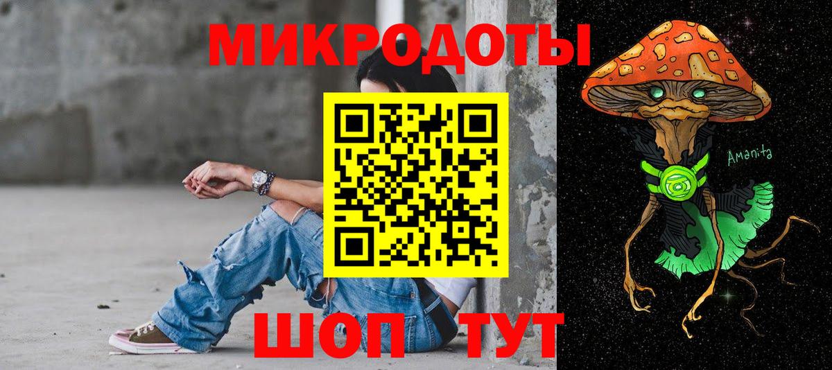 Псилоцибиновые грибы Psilocybe Мыски